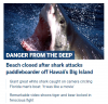 Danger from deep.png