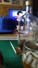 20180526_195715.jpg
