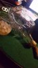 20180526_210347.jpg