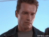 84xw.gif