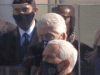EquatorialAgonizingCentipede-max-1mb.gif