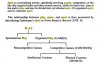 play game sport chart copy.jpeg