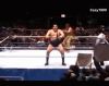 upload_2022-10-2_17-28-1.gif