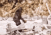 upload_2022-10-22_14-57-39.gif