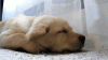 upload_2022-11-5_9-58-54.gif