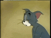 upload_2022-11-9_18-58-59.gif