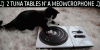 i-can-has-bass-drop-lol-cat-meme-of-dj-cat-gif-scirt-skrtt.gif