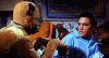tumblr_nocv0hUvjg1s01qkyo1_500.gif