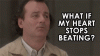 AppropriateAccurateBlackbear-size_restricted.gif