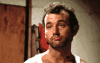 YearlyAjarAssassinbug-max-1mb.gif