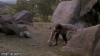 upload_2022-12-31_17-33-1.gif