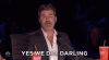giphy-1.gif
