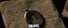 c35a4f3b-8cd1-4239-8db4-b481a5b323b2_text.gif