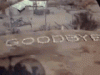 alan-alda-mash.gif