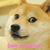 upload_2023-1-10_22-38-30.gif