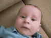 upload_2023-1-28_19-25-37.gif