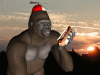 68b376b5408907275c063e2c719fd9d9.gif