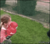 17mcq8.gif