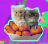 upload_2023-3-7_19-9-0.gif