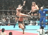 upload_2023-3-9_16-40-41.gif