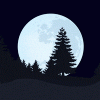 upload_2023-3-9_17-32-5.gif