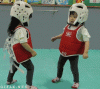 giphy-2.gif