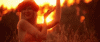 upload_2023-3-31_21-29-56.gif