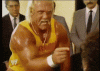 upload_2023-4-24_19-8-15.gif