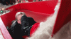 upload_2023-4-26_12-59-14.gif