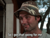 FinishedDistantHartebeest-size_restricted.gif