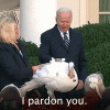 200w.gif
