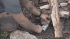 PSF---homepage-vid_1445x.gif