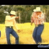 DistantChiefHornedtoad-max-1mb.gif