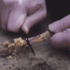 200w.gif