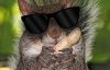 Screenshot_20230905-195435_Google.jpg