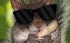 Screenshot_20230906-221851_Google.jpg