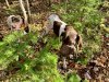 IMG_2897.jpeg