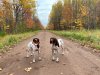 IMG_1879.jpeg