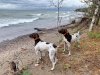IMG_2913.jpeg