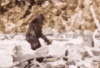 upload_2023-12-13_17-50-47.gif