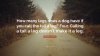 355958-Abraham-Lincoln-Quote-How-many-legs-does-a-dog-have-if-you-call.jpg
