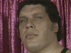 upload_2024-1-21_17-31-32.gif