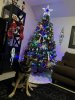 IMG_9088.jpeg