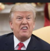 Screenshot_20240208-084843.png
