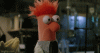 IMG_0027.gif
