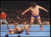 upload_2024-3-2_18-51-29.gif