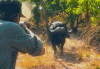 tumblr_a9d155da8b61dc2ab002c94b7939b0c5_1ec14553_400.gif