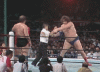 upload_2024-3-23_17-43-42.gif
