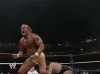 upload_2024-6-25_12-37-19.gif