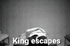 20240713_165945.gif